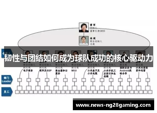 韧性与团结如何成为球队成功的核心驱动力