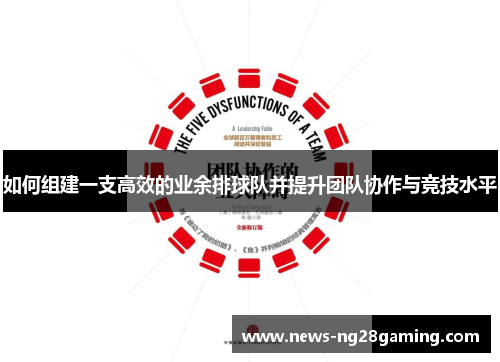 如何组建一支高效的业余排球队并提升团队协作与竞技水平