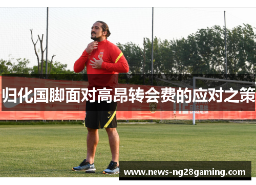 归化国脚面对高昂转会费的应对之策