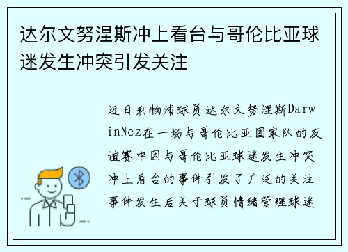 达尔文努涅斯冲上看台与哥伦比亚球迷发生冲突引发关注